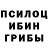 Псилоцибиновые грибы Magic Shrooms SENATOR Vloger