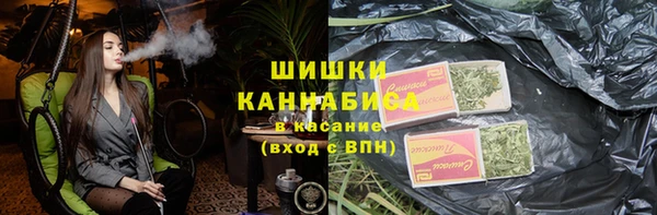 прущая мука Вяземский