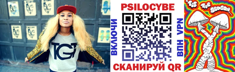 площадка состав  Котовск  Псилоцибиновые грибы Cubensis 